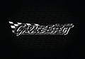 GARAGE EFFECT FLAG